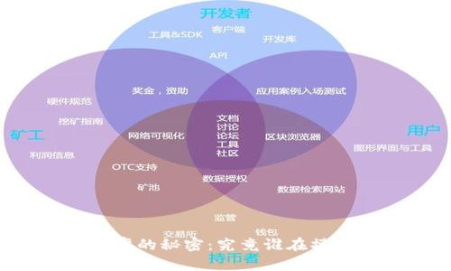揭开USDT与USD汇率的秘密：究竟谁在操控数字货币的命脉？
