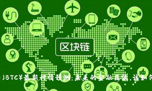 比特币（BTC）最新行情预测：未来的金融巨浪，该如何把握？