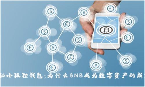 探秘小狐狸钱包：为什么BNB成为数字资产的新宠？