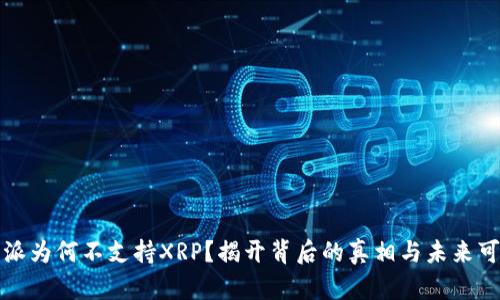 比特派为何不支持XRP？揭开背后的真相与未来可能性