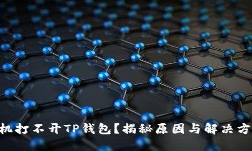 手机打不开TP钱包？揭秘原因与解决方案！