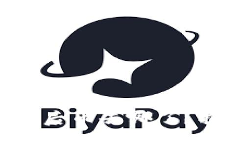 TP钱包薄饼兑换后币去哪了？揭开背后的秘密！