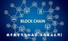 揭开数字钱包的面纱：谁