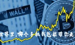 在虚拟币的世界里，哪个