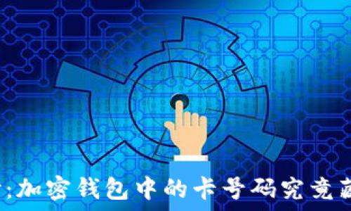   
揭开面纱：加密钱包中的卡号码究竟藏在哪里？