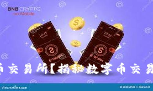 如何挑选最佳数字币交易所？揭秘数字币交易所排名背后的玄机！