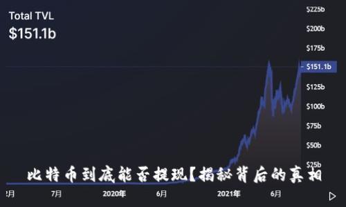 比特币到底能否提现？揭秘背后的真相