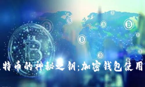解锁比特币的神秘之钥：加密钱包使用全攻略