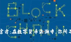 揭秘泰达币官方：在数字