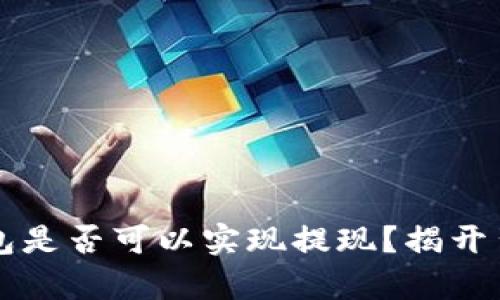 虚拟币钱包是否可以实现提现？揭开背后的真相