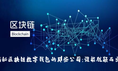 揭秘区块链数字钱包的那些公司：谁能脱颖而出？