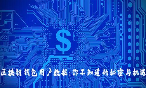 区块链钱包用户数据：你不知道的秘密与机遇