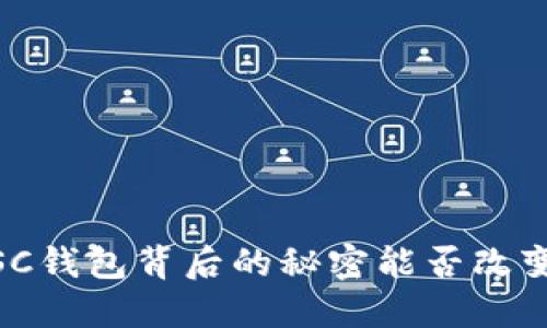 探秘数字货币：SC钱包背后的秘密能否改变你的投资方式？