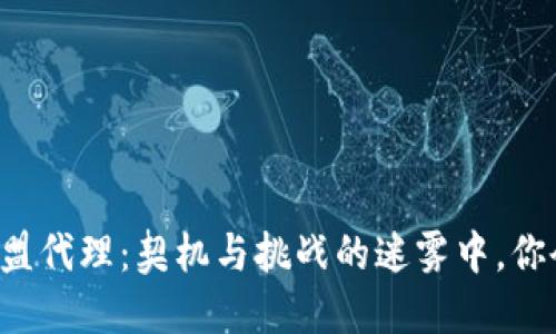 区块链钱包加盟代理：契机与挑战的迷雾中，你会选择哪条路？