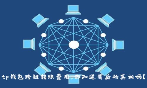 tp钱包跨链转账费用，你知道背后的真相吗？