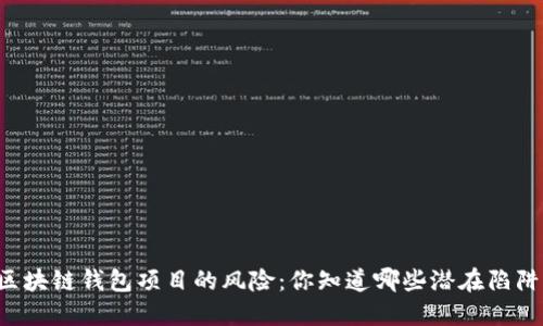 区块链钱包项目的风险：你知道哪些潜在陷阱？