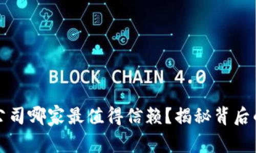 区块链开发公司哪家最值得信赖？揭秘背后的策略与选择