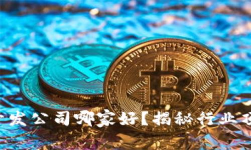 区块链开发公司哪家好？揭秘行业顶尖选择！