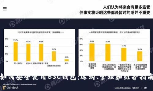 如何安全使用BSC钱包：选购、管理和维护指南