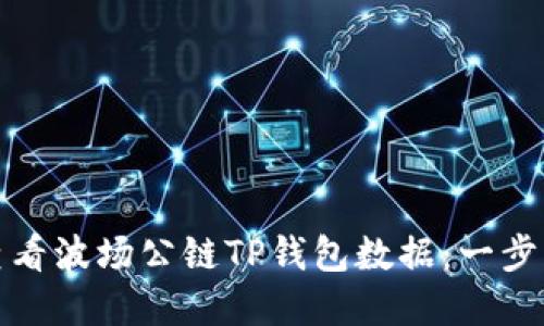 如何查看波场公链TP钱包数据：一步步详解