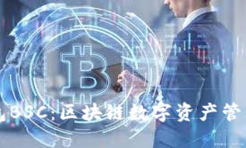 ### TP钱包BSC：区块链数字资产管理的理想选择