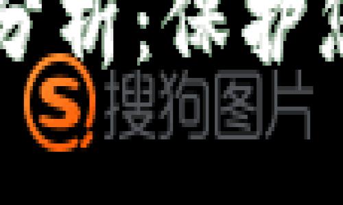 区块链钱包交易安全性分析：保护您的数字资产的终极指南