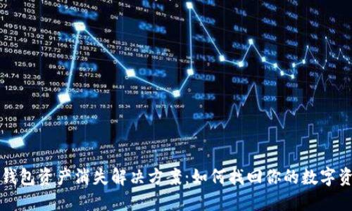 TP钱包资产消失解决方案：如何找回你的数字资产