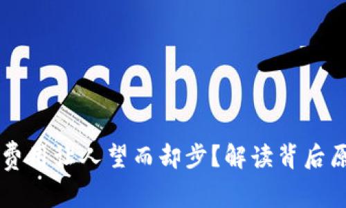 为什么TP钱包费用让人望而却步？解读背后原因与解决方案