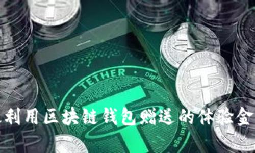 如何有效利用区块链钱包赠送的体验金进行投资