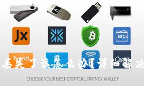 小狐狸钱包Core丢失了该怎么办？详细解决方案与预防措施