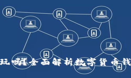 数字货币钱包能玩吗？全面解析数字货币钱包的使用与风险