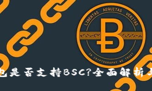 TP钱包是否支持BSC?全面解析与指南