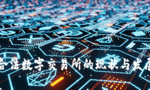 中国合法数字交易所的现状与发展前景