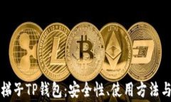 全面解析梯子TP钱包：安全