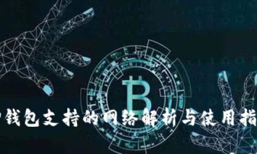TP钱包支持的网络解析与使用指南