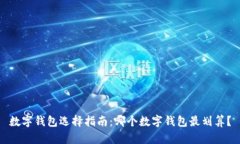 数字钱包选择指南：哪个