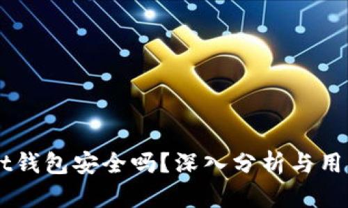 Ownbit钱包安全吗？深入分析与用户指南