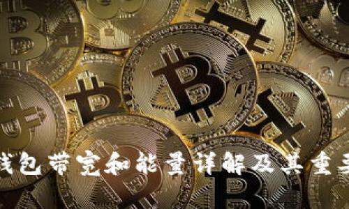 TP钱包带宽和能量详解及其重要性