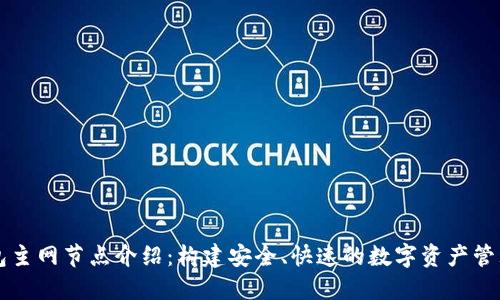 TP钱包主网节点介绍：构建安全、快速的数字资产管理平台