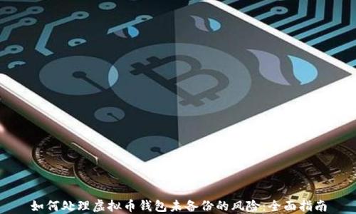 
如何处理虚拟币钱包未备份的风险：全面指南