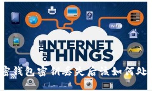 加密钱包密钥丢失后该如何处理？