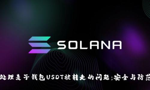 如何处理麦子钱包USDT被转走的问题：安全与防范指南