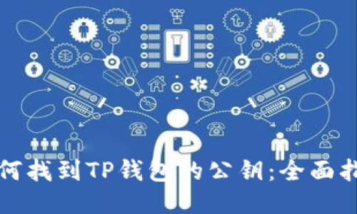 如何找到TP钱包的公钥：全面指南