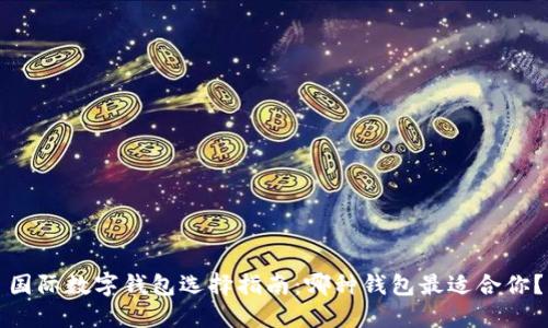 国际数字钱包选择指南:哪种钱包最适合你?