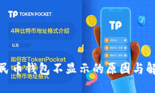 数字人民币钱包不显示的原因与解决方案