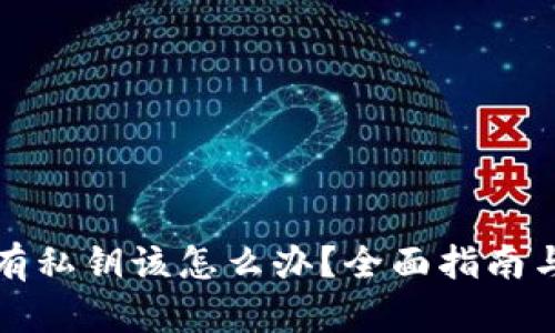 TP钱包没有私钥该怎么办？全面指南与解决方案