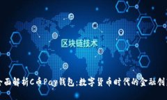 全面解析C币Pay钱包：数字