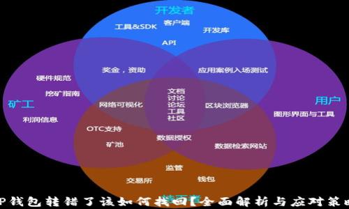 
TP钱包转错了该如何找回？全面解析与应对策略