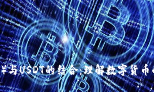 波场（TRON）与USDT的结合：理解数字货币的未来趋势