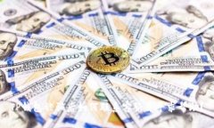 TP钱包被骗后如何联系客服